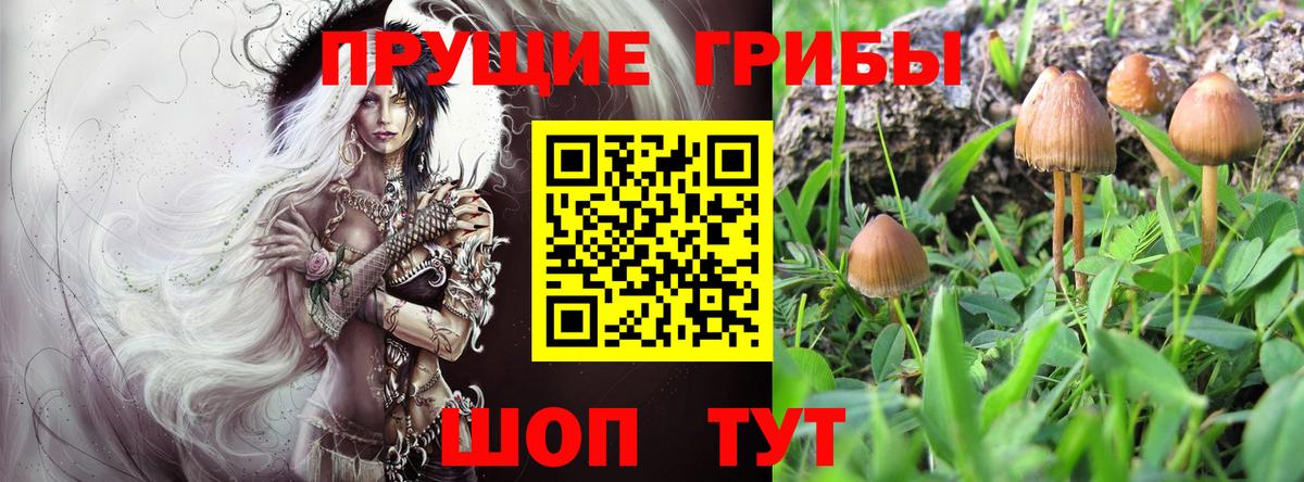 Псилоцибиновые грибы мухоморы Белогорск