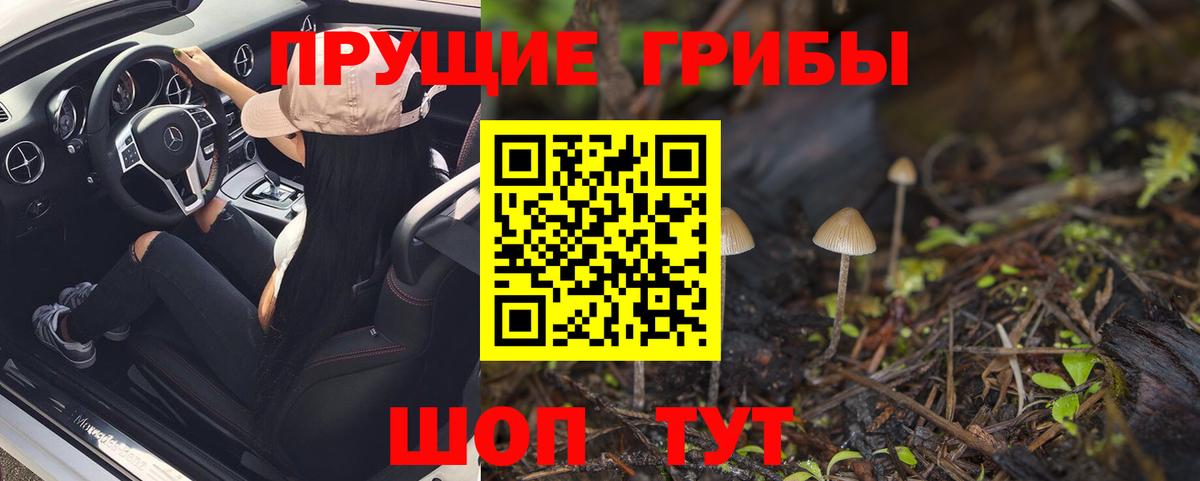 купить наркотики сайты  Галлюциногенные грибы Magic Shrooms  Белогорск  Вход с VPN  Псилоцибиновые грибы Psilocybe 